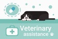 Veterinary Assistance Clinic For Animals Pets Vet Service Banner Royalty Free Stock Photo