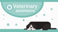 Veterinary Assistance Clinic For Animals Pets Vet Service Banner Royalty Free Stock Photo