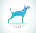 Veterinary care - dog care Royalty Free Stock Photo