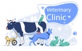 Veterinary Clinic Banner with Domestic Animals