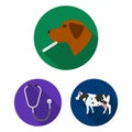 Veterinary clinic flat icons in set collection for design. Treatment of a pet vector symbol stock web illustration. Royalty Free Stock Photo