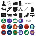 Veterinary clinic flat icons in set collection for design. Treatment of a pet vector symbol stock web illustration. Royalty Free Stock Photo