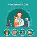 Veterinary Clinic Flat Poster Royalty Free Stock Photo