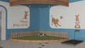 Veterinary clinic play garden for dogs and cats, blue and wooden tones, green grass with balls. Relax area for pets. Pet friendly