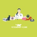 Veterinary clinic set with cat and laboratory equipment