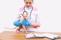 Veterinary clinic. Vet, professional veterinarian checking domestic animals, pets health. Doctor assistant, hospital Royalty Free Stock Photo