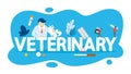 Veterinary concept. Idea of domestic animal care Royalty Free Stock Photo