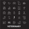 Veterinary editable line icons vector set on black background. Veterinary white outline illustrations, signs, symbols Royalty Free Stock Photo