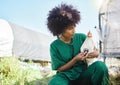 Veterinary, farm and black woman with stethoscope and chicken for inspection, wellness and exam. Poultry farming Royalty Free Stock Photo