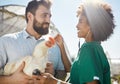 Veterinary, farm and doctor and nurse with chicken for health check, wellness and inspection. Poultry farming, animal Royalty Free Stock Photo