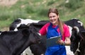 Veterinary on a farm Royalty Free Stock Photo