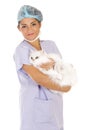 Veterinary holding cat Royalty Free Stock Photo