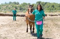 Veterinary horses on the farm