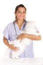 Veterinary hugging white angora cat