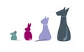 Veterinary Icons of Pets