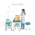 Veterinary medicine and care, vector flat style design illustration Royalty Free Stock Photo