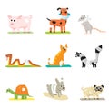 Veterinary pet health care animal medicine icons Royalty Free Stock Photo