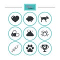 Veterinary, pets icons. Dog paw, syringe signs.