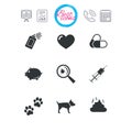 Veterinary, pets icons. Dog paws, syringe signs.