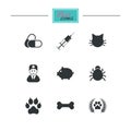 Veterinary, pets icons. Paw, syringe and bone. Royalty Free Stock Photo