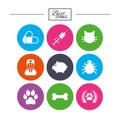 Veterinary, pets icons. Paw, syringe and bone.