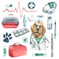 Veterinary set with doctor dog, pet carrier, medicines. Watercolor illustration, hand drawn. Isolated objects on a white Royalty Free Stock Photo