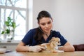 Veterinary surgeon and chihuahua dog at vet clinic Royalty Free Stock Photo