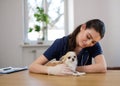 Veterinary surgeon and chihuahua dog at vet clinic Royalty Free Stock Photo