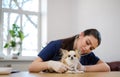 Veterinary surgeon and chihuahua dog at vet clinic Royalty Free Stock Photo