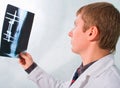 Veterinary Surgeon Examining X Ray Royalty Free Stock Photo