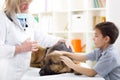 Veterinary surgeon is giving the vaccine to the German Shepherd