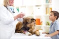 Veterinary surgeon is giving the vaccine to the German Shepherd