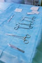 Veterinary surgical instruments lie on the operating table Royalty Free Stock Photo