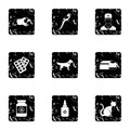 Veterinary things icons set, grunge style