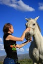 Veterinary woman controling horse health