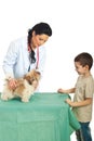 Veterinary woman examine puppy