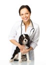 Veterinary woman with spaniel