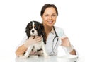 Veterinary woman with spaniel