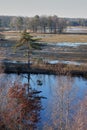 Vetical landscape fen green tree nature reflection water Royalty Free Stock Photo