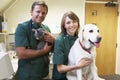 Vetinary Staff With Dog And Cat In Surgery Royalty Free Stock Photo