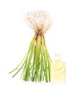 Vetiver grass or chrysopogon zizanioides and oil isolated on white background