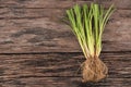 Vetiver grass or chrysopogon zizanioides on an old wooden background