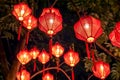 Vetnamese lantern Royalty Free Stock Photo