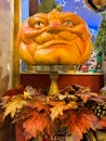VETRALLA, ITALY - SEPTEMBER 19, 2023: Close up of halloween pumpking with autumn foliage at the interior of shop