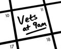 Vets at 9am