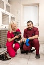 Vets examine shy dog in animal hospital Royalty Free Stock Photo