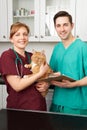 Vets In Surgery Looking After Pet Cat Royalty Free Stock Photo