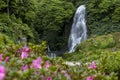 Veu da Noiva (Brides Veil) waterfall in Ribeira dos Caldeiroes, Nordeste, Sao Miguel island, Azores, Portugal Royalty Free Stock Photo