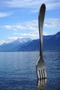 The fork