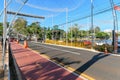 Vew of Avenida Higienopolis during christmas season, Londrina